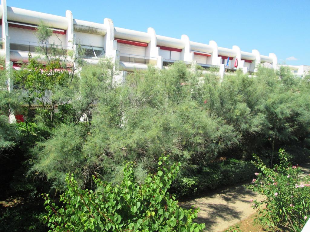 Vittoria Immobilier 12 -Reglement Sur Place - Cheques Vacances Acceptes La Grande-Motte Exterior photo